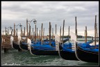 Venezia Venezia
