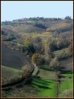 colline colline