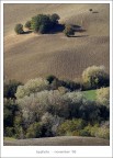 ...campo... ...campo...