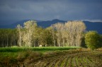 dopo il temporale 2 dopo il temporale 2