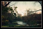 November In Central Park November In Central Park
