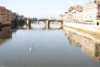 Florence Florence