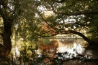 Parco Sempione Parco Sempione