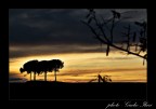 I guardiani della notte I guardiani della notte