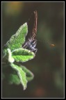 062_04 062_04
