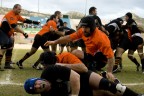 Rugby Palermo