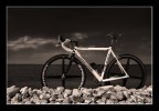 cannondale on te beach
