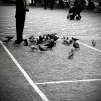 Autunno Autunno
