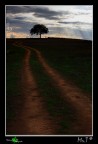 La strada per il tramonto... La strada per il tramonto...