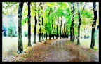 Interpretazione di un autunno Interpretazione di un autunno