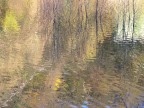 Riflessi