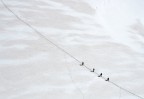 Monte Bianco Monte Bianco