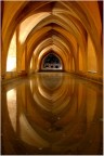 Un gioco di archi in uno dei luoghi pi� belli di Granada: l'Alambra!
Un gioco che si riflette nell'acqua diventando cos� un doppio gioco di archi con una luce calda che d� atmosfera.