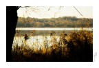 l'autunno č. l'autunno č.