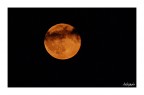 Cerchio alla testa..moon Cerchio alla testa..moon