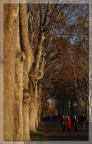 Viale Pubblico Passeggio Viale Pubblico Passeggio