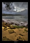 turtle bay turtle bay