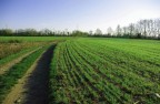 into the countryside.. into the countryside..