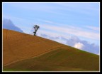 solitudine solitudine