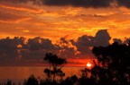 Alba Jonica Alba Jonica