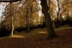 autunno autunno