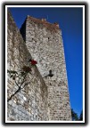 Torre Torre