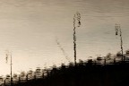 riflessi