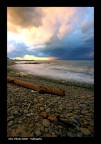Storm Storm