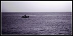 fishing fishing