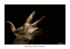 Abstractions Human Abstractions Human