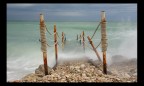 pontile pontile