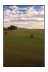 campagne campagne