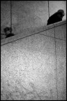 New York - Subway New York - Subway