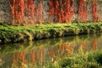 Riflessi d'autunno Riflessi d'autunno