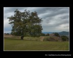 paesaggio autunnale paesaggio autunnale