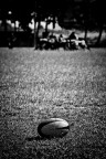 rugby