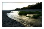 Fiume dorato Fiume dorato