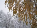 L'inverno è arrivato L'inverno è arrivato