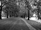Voglia di correre Voglia di correre