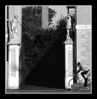 come il canto delle sirene...