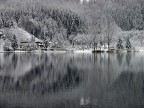 riflessi invernali riflessi invernali