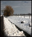 neve neve
