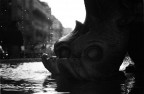 RoMa RoMa