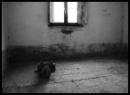 Reportage B/N - Shining Reportage B/N - Shining