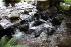 ACQUA CORRENTE ACQUA CORRENTE