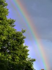 Colori della natura Colori della natura