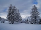 L'inverno in trentino L'inverno in trentino