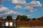 in campagna in campagna