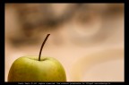 apple of my life apple of my life