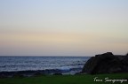 mare mare